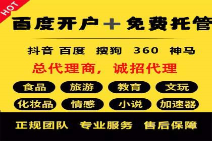 成功SEM托管案例解析